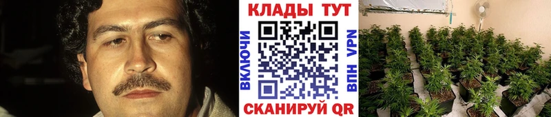 Хочу наркоту Кувшиново Alpha-PVP Codein ГАШ Канабис КОКАИН МЕФ