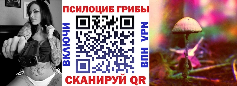 нарко площадка как зайти  мега онион  Кувшиново  Псилоцибиновые грибы Cubensis 